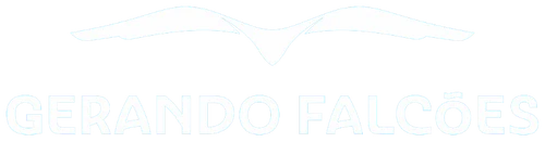 Gerando Falcões